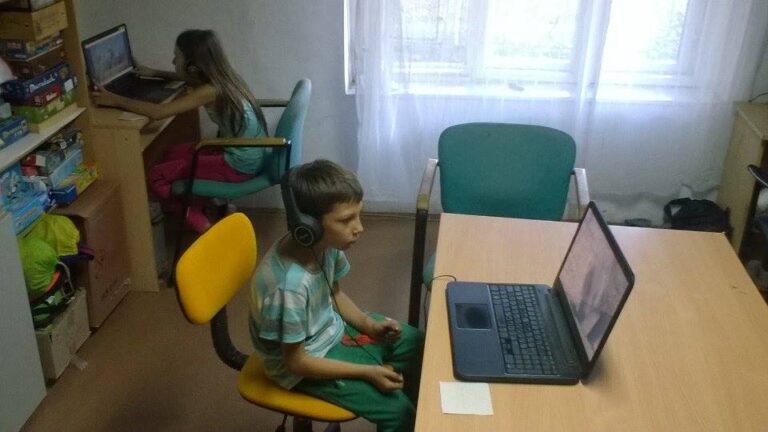 Bogár, lepke vagy más rovar?