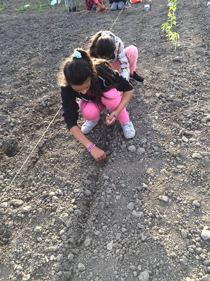 18033830_467559140242998_9133282787385663994_n