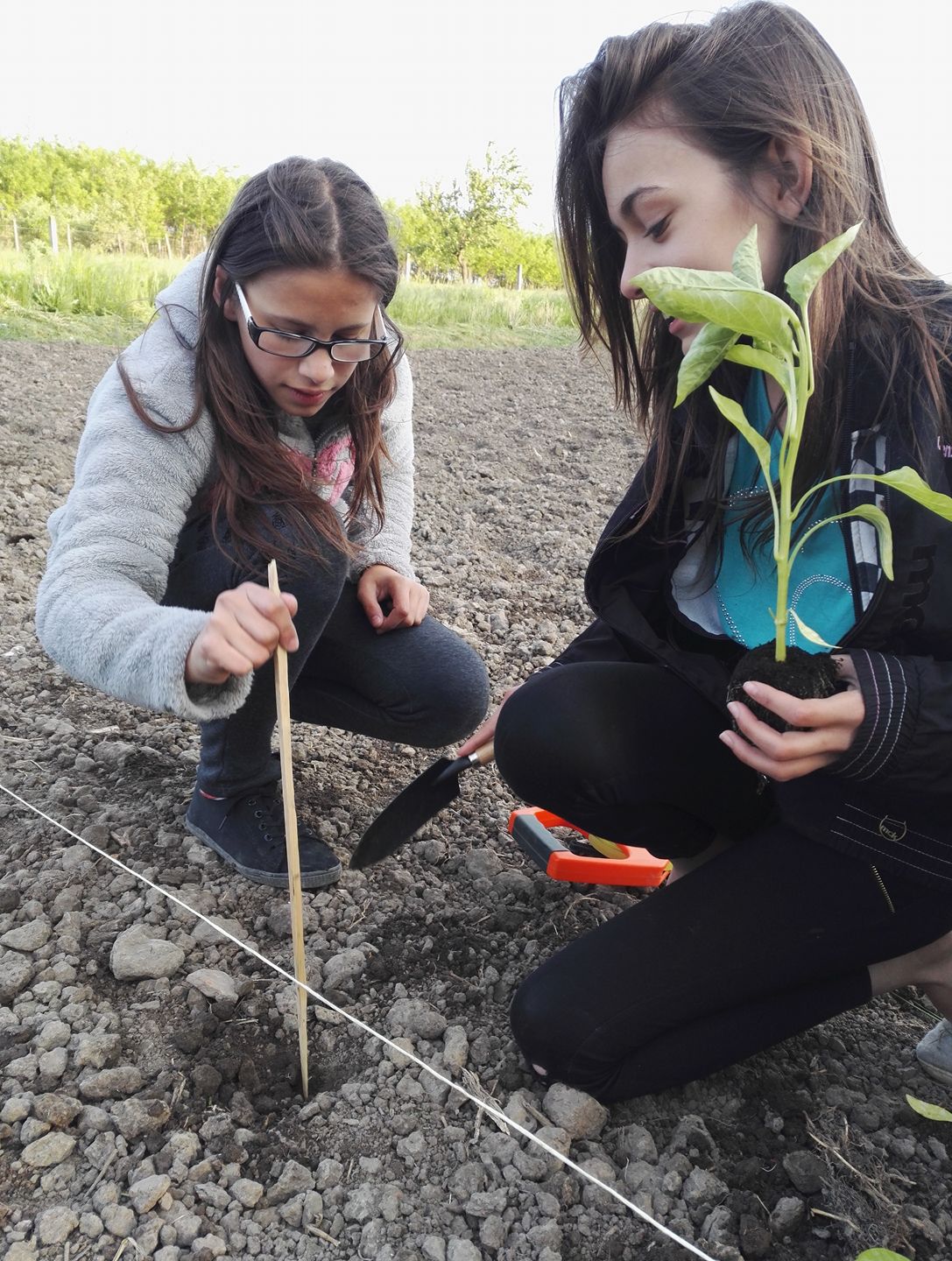 18404171_1512699865421635_4772476442336356207_o