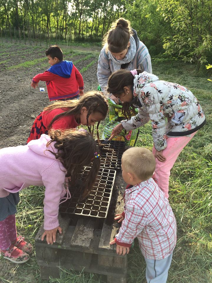 18424031_467559086909670_8089173238201727127_n